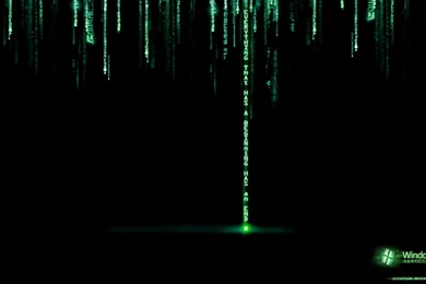 Wallpapers Akrapovic Hd For Windows 1366x768