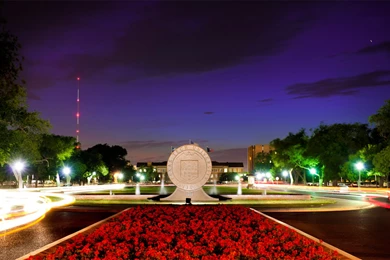 Http://www.depts.ttu.edu/communications/wallpaper/seal at night ...