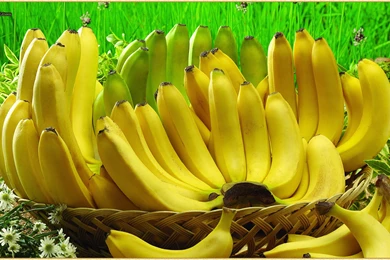 Banana HD Wallpapers