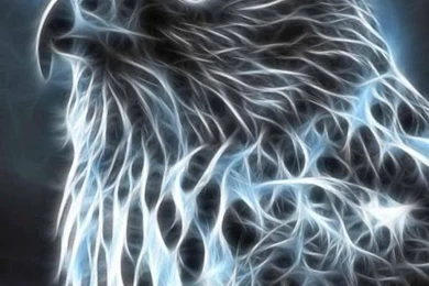 Cool Wallpapers HD   Android Apps On Google Play