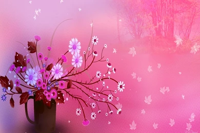 Nice Laptop Backgrounds   Wallstock