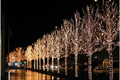 Christmas Magic Wallpapers