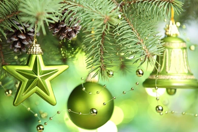 Merry Christmas Wallpapers Green Wallpapers » WallDevil   Best Free ...