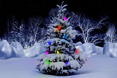 Beautiful Christmas Tree Wallpapers 15.jpg