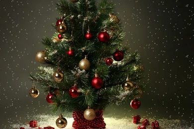 Small Christmas Tree HD Desktop Wallpapers : High Definition ...