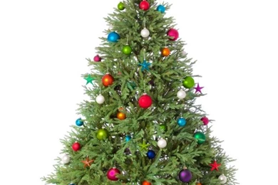 Christmas Tree Wallpapers   Android Apps On Google Play