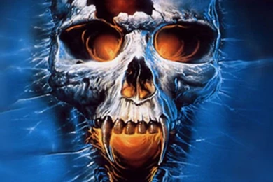 Wallpapers Skull Logo Iphone Iphones Ipod Touch Free 640x960 ...