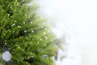 Download Wallpapers 3840x2400 Christmas Tree, Snow, Needles, Thread ...