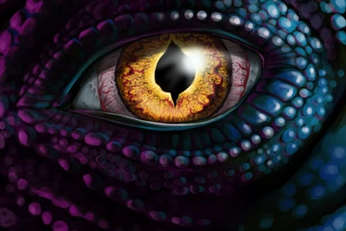 Dragon Eye By Petrichora On DeviantArt