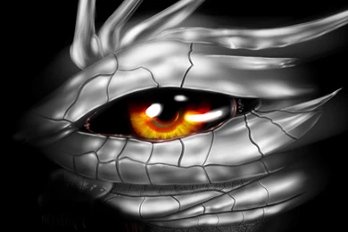 Dragon Eye Silver Scale By Xuruki On DeviantArt
