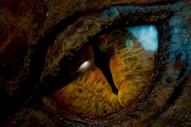 The Hobbit  Dragon Eye By GiuseppeDiRosso On DeviantArt