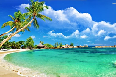 Tropical Wallpapers