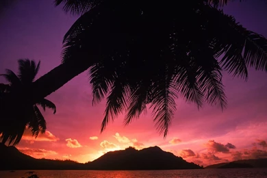 Tropical Beaches Sunset