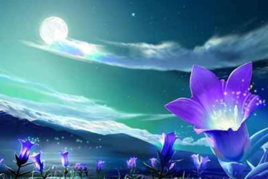 Backgrounds Hd Wallpapers