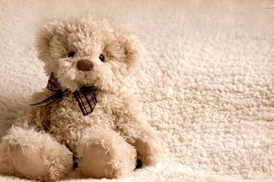 Teddy Bear Wallpapers