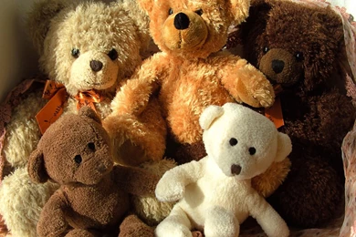 Teddy Bears