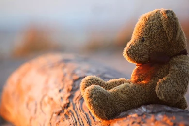 Pictures Of Sad Teddy Bear Lost & Lonely Feeling After Love Break ...