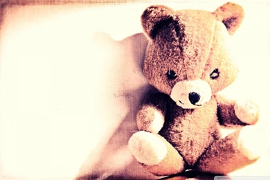 Teddy Bear HD Desktop Wallpapers : Mobile