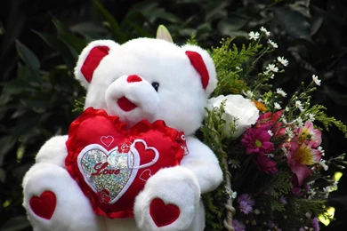 Teddy Bear With Love Harts Hd Wallpapers   Free Hd Wallpapers