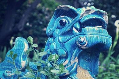 Blue Dragons Chinese Dragon Wallpapers