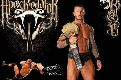 Randy Orton Hd Free Wallpapers
