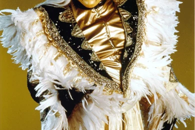 Goldust Wwe Free Wallpapers