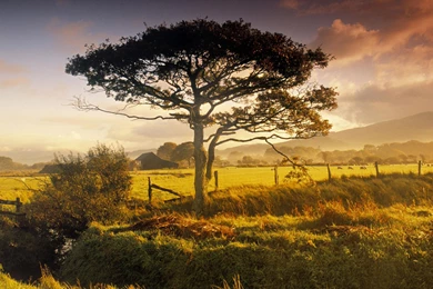 Download Backgrounds   Scenic Near Harlech, North Wales, Great ...
