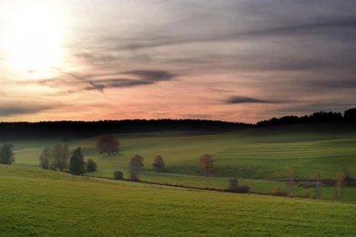 1920x1080 Green Grassland Scenic Backgrounds