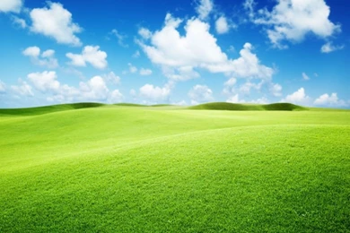 Aliexpress.com : Buy Top Quality Vinyl New Design 1x1.5m Outdoor ...