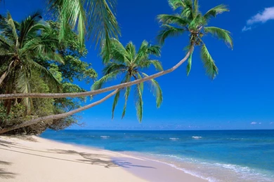 Backgrounds, Wallpapers, Desktop, Island, Kadavu (