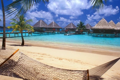 Wallpapers, Island, Monkey, Console, Store, Games, Edition, Secret ...