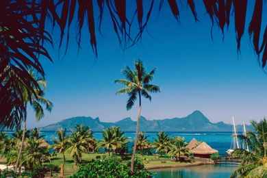 Moorea, Backgrounds, Desktop, Tahiti, Island (