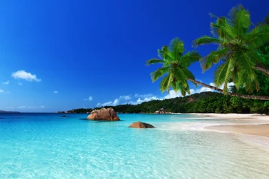 Tropical Island Computer Wallpapers Desktop Backgrounds 1920x1200 ...