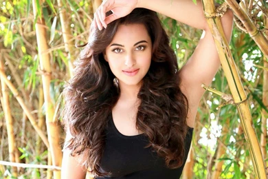 Top 10 Sonakshi Sinha HD Wallpapers