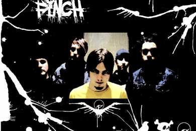 Finch   BANDSWALLPAPERS