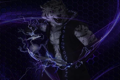 Dreamscene.org   Gallery/Download   Free Dreamscenes, Video Loops ...