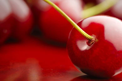 122 Cherry HD Wallpapers