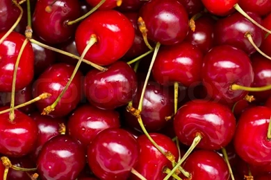 Cherry With Water Drops Close up Over Black Backgrounds Stock Photo