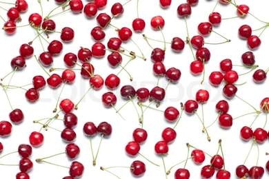 Fresh Ripe Cherry Berry On White Can Be Used As Backgrounds