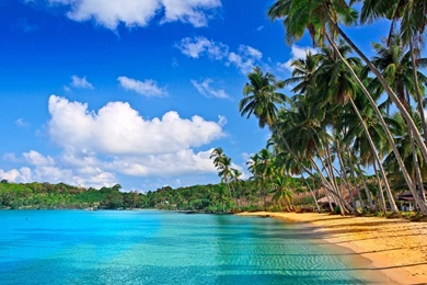 Neon Phone Wallpapers : Abstract Wallpapers   Ngantukan.com