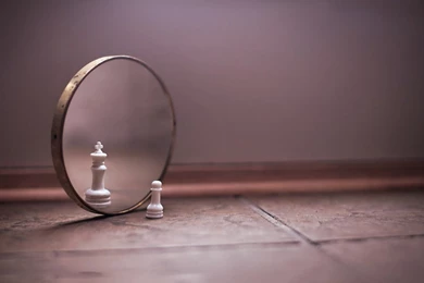 THE MIRROR THEORY – Brother Ransome