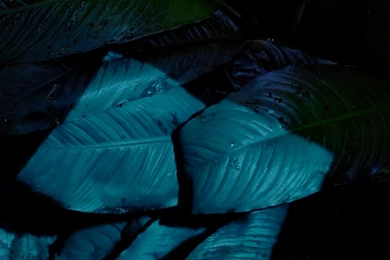 IOS 9 New Wallpapers   Album On Imgur