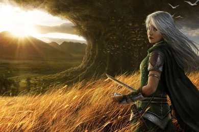 Warrior Wallpapers — Free Full HD Wallpaper. Widescreen HQ Desktop ...