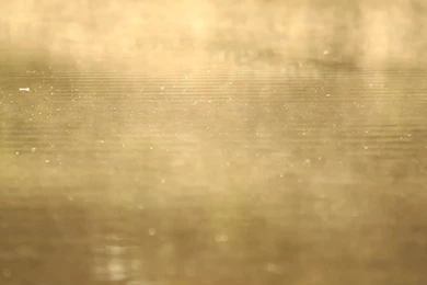 Water Surface With Mist And Sunlight In The Morning, Calm ...