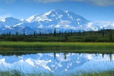 Nature Wallpapers 196, Free Desktop Wallpapers, Cool Wallpapers