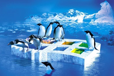 Linux Wallpapers » WallDevil   Best Free HD Desktop And Mobile ...