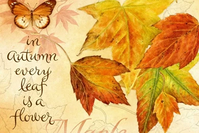 Lang Calendars Wallpapers   HD Wallpapers (High Definition)