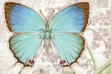 LANG Wallpapers For Desktop Computers