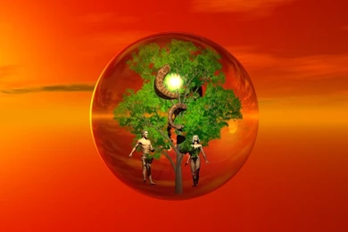 Lang Free Wallpapers   Wallpapers Cave