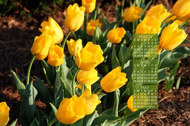 Calendar Wallpapers, Desktop Wallpapers By Kate.net